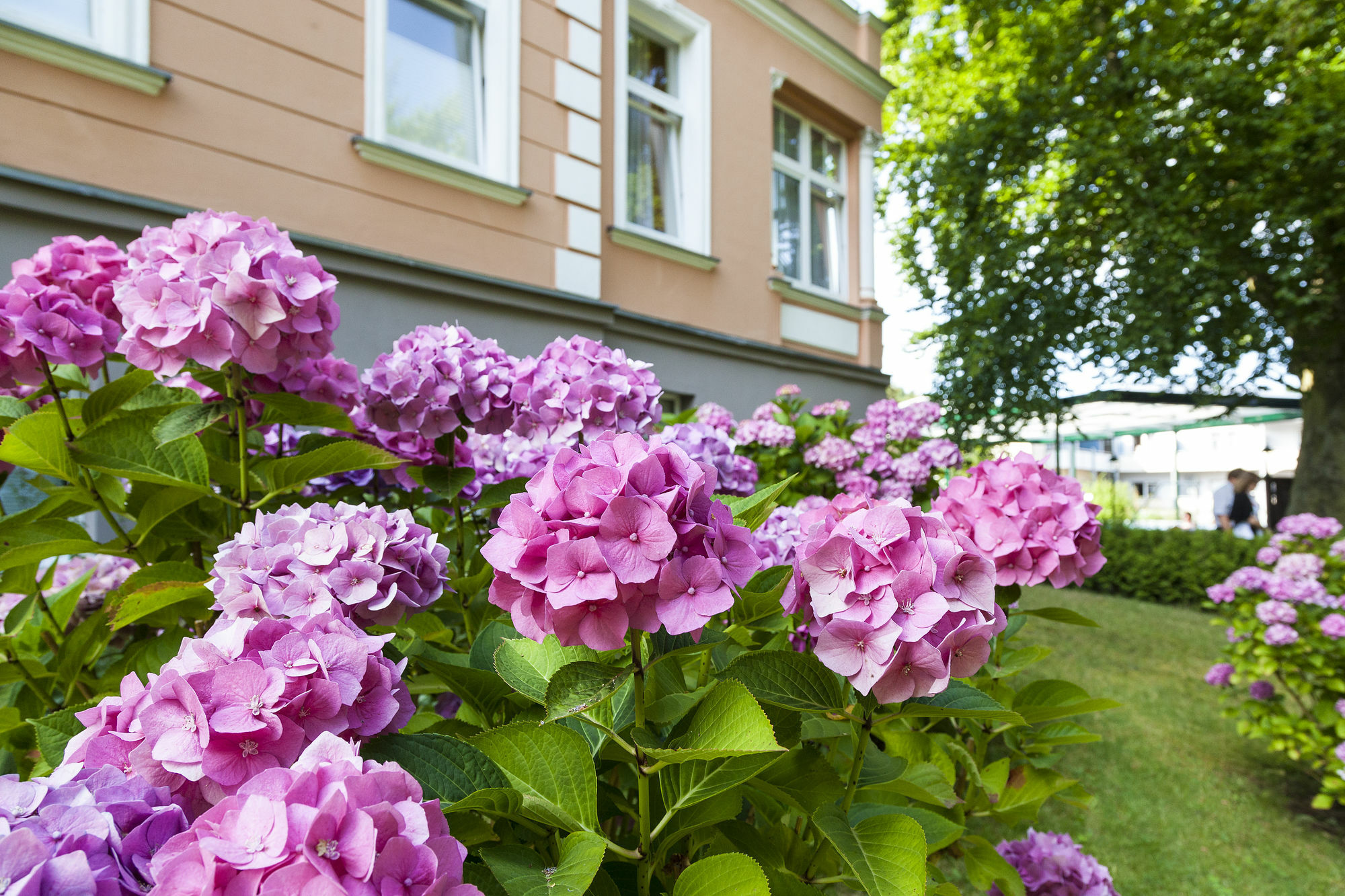 Ostseehotel Villen Im Park - Ein Rovell Hotel Heringsdorf Zewnętrze zdjęcie